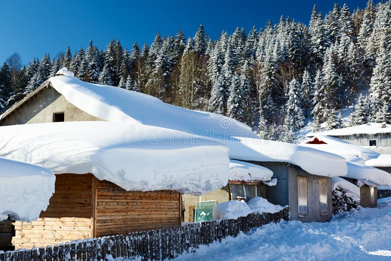 The house snowcovered and forest