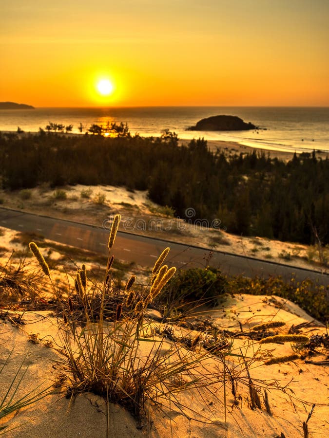 Nature Seascape with View of Glowing Sun and A Wild Flowering Bush at Gorgeous Orange Sunrise stock images Nature Seascape with View of Glowing Sun and A Wild Flowering Bush at Gorgeous Orange Sunrise stock images