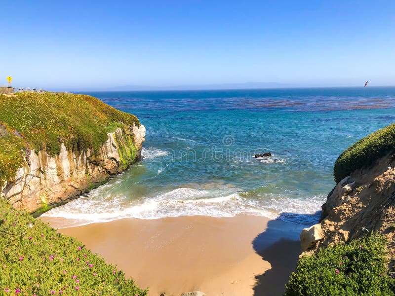 Hidden Beach In Santa Cruz Stock Photo Image Of Park 118602430