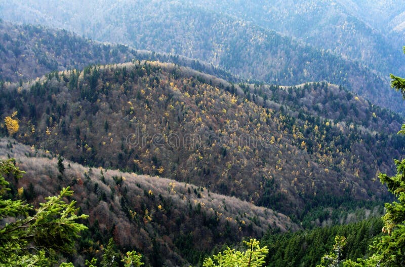 Autumn in Piatra Craiului National Park. This photo was taken in Piatra Craiului mountain, Brasov county, Romania stock images Autumn in Piatra Craiului National Park. This photo was taken in Piatra Craiului mountain, Brasov county, Romania stock images
