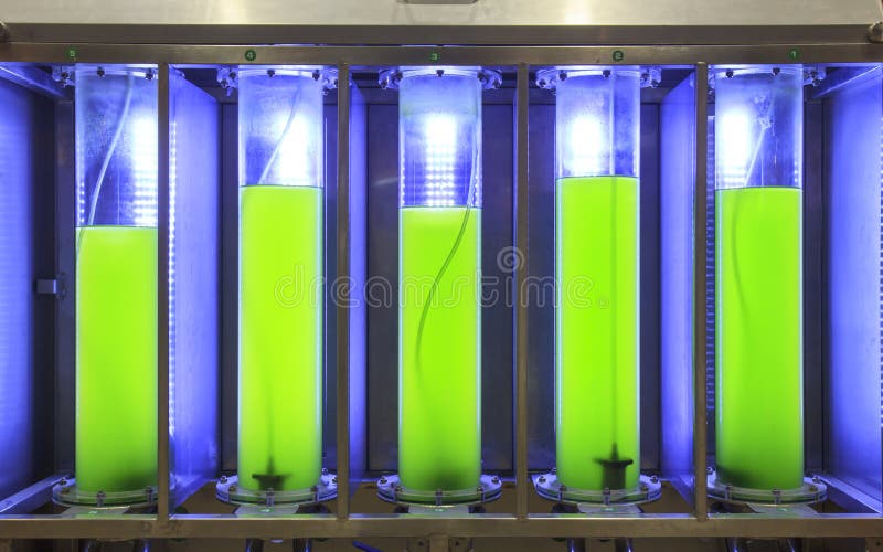 Photobioreactor in lab algae fuel biofuel industry.