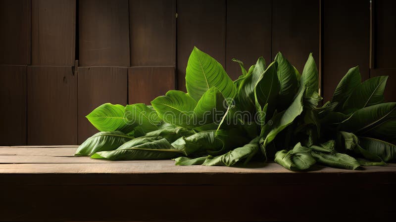 Photograph plantain leaf vector illustration