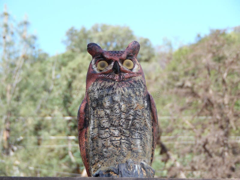 Photograph Of Plastic Fake Owl Decoy Stock Photo - Image: 53879148