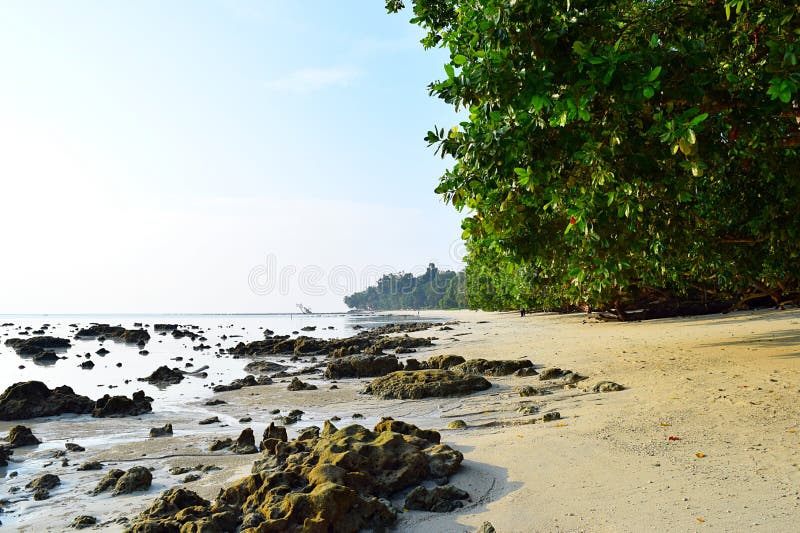 Serene Rocky Beach with Lush Green Mangroves on Bright Sunny Day - Vijaynagar, Havelock Island, Andaman, India