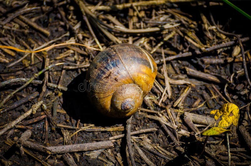 Hidden at home stock photo Hidden at home stock photo