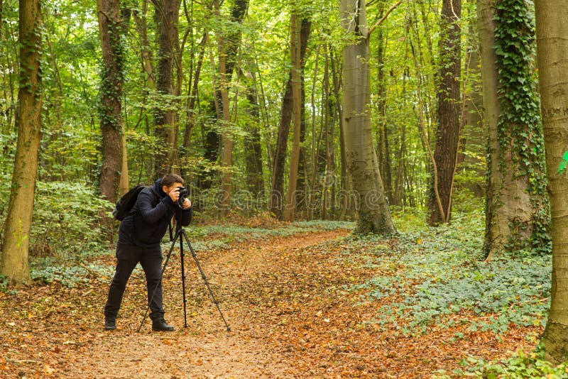 Photographe de forêt photographie stock Photographe de forêt photographie stock