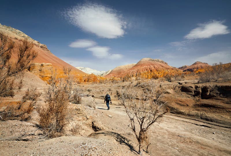 Photographer in the desert royalty free stock image Photographer in the desert royalty free stock image