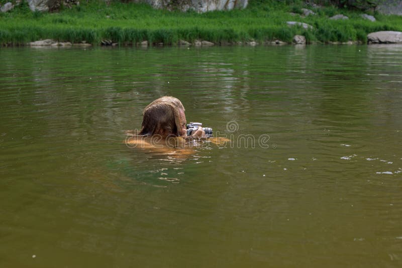 photographer holding camera swimming quietly by river with just head above water trying to catch some interesting shots royalty free stock images photographer holding camera swimming quietly by river with just head above water trying to catch some interesting shots royalty free stock images