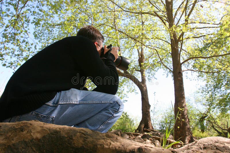 Fotógrafo tiene oculto para un árbol hasta objeto de tiroteo.