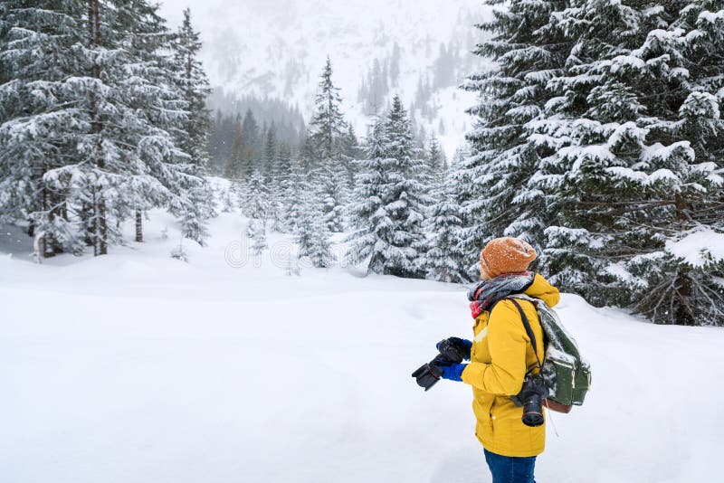 The photographer in winter forest stock images The photographer in winter forest stock images