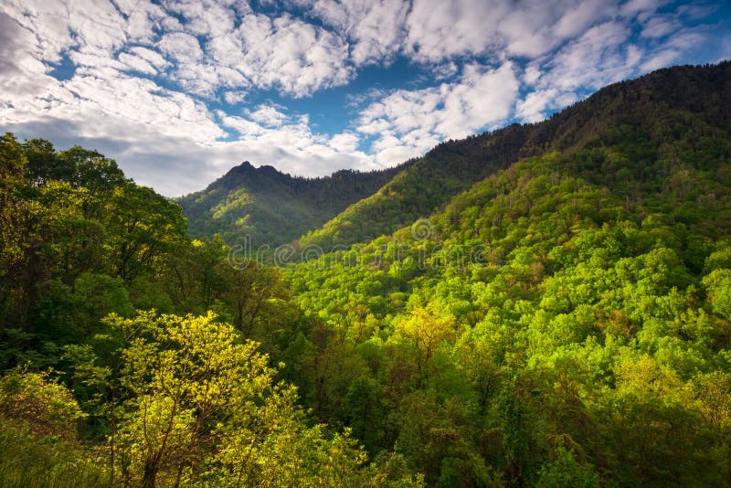 Photographie scénique de paysage de parc national de Great Smoky Mountains photographie stock libre de droits Photographie scénique de paysage de parc national de Great Smoky Mountains photographie stock libre de droits
