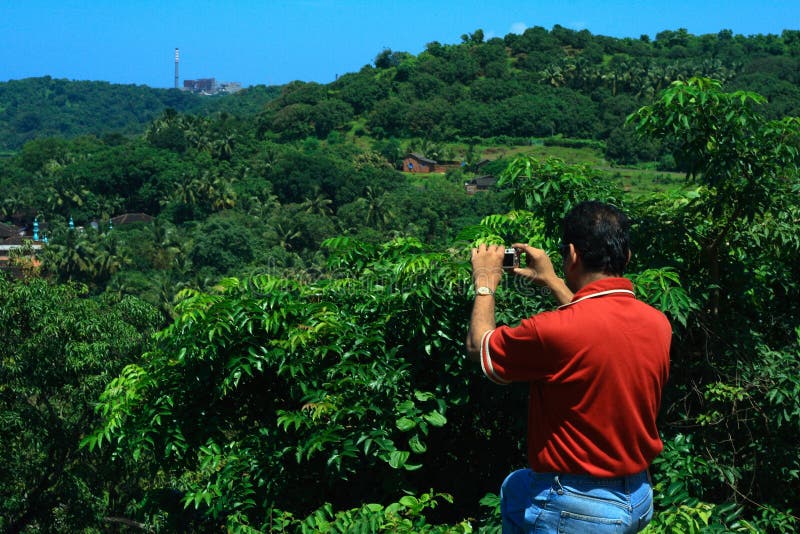 Photographing The Greenery