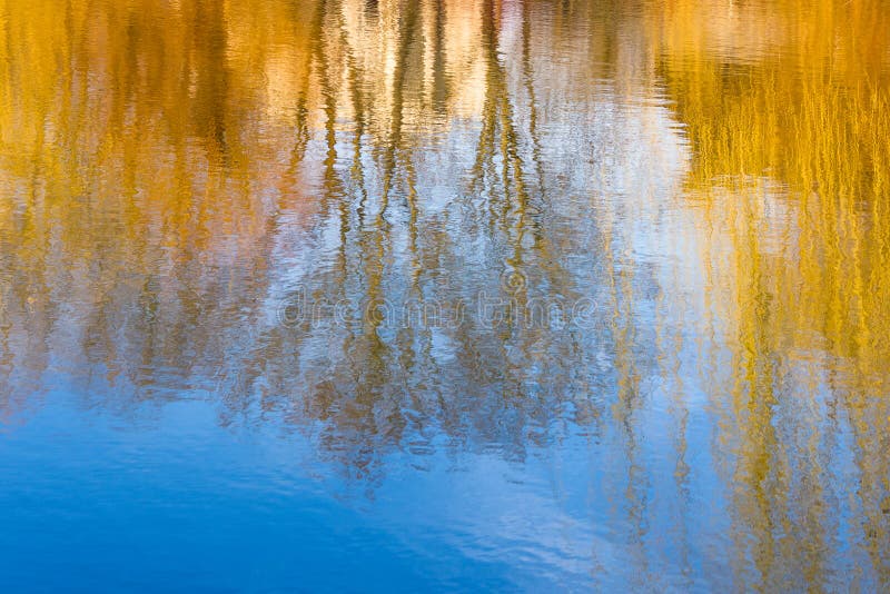 Photography blur tree reflection on water.