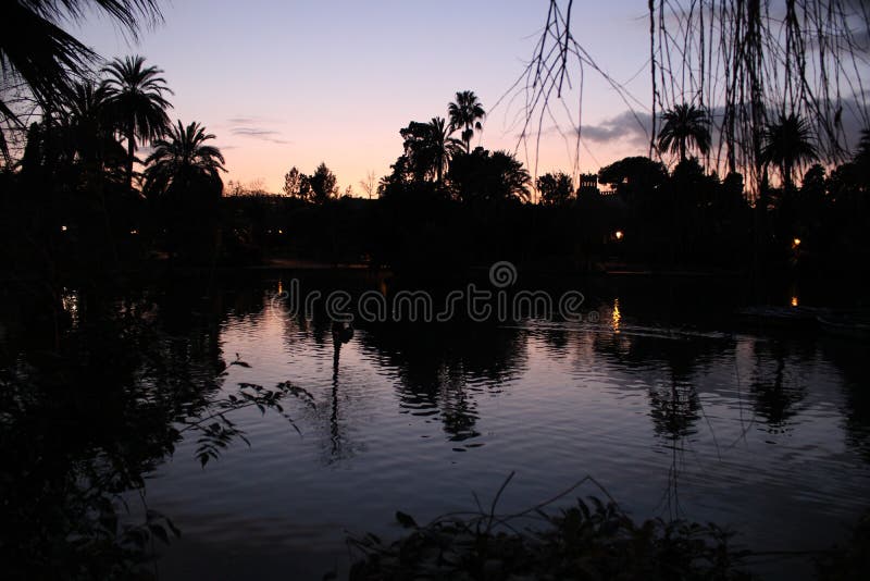 A lake in Barcelona. stock photo. Image of plants, palms 139511366