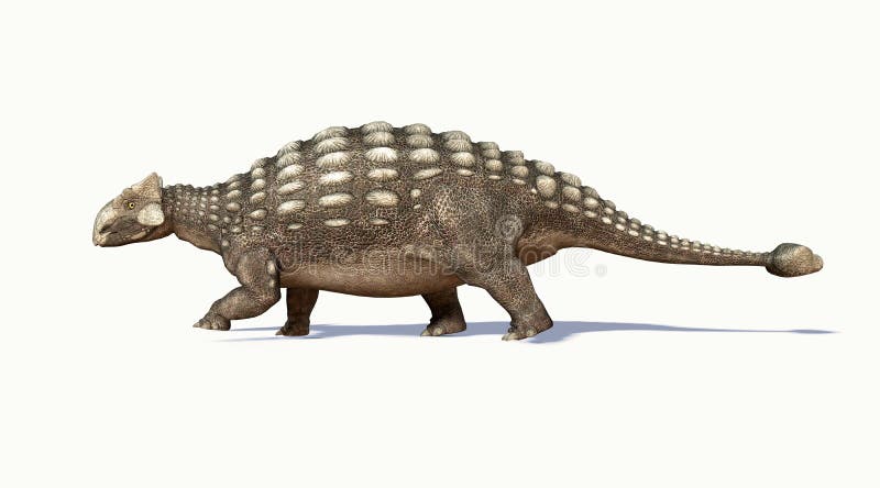 Photorealistic 3D rendering of an Ankylosaurus, viewed from aside. At white background with drop shadow and clipping path included. Photorealistic 3D rendering of an Ankylosaurus, viewed from aside. At white background with drop shadow and clipping path included.