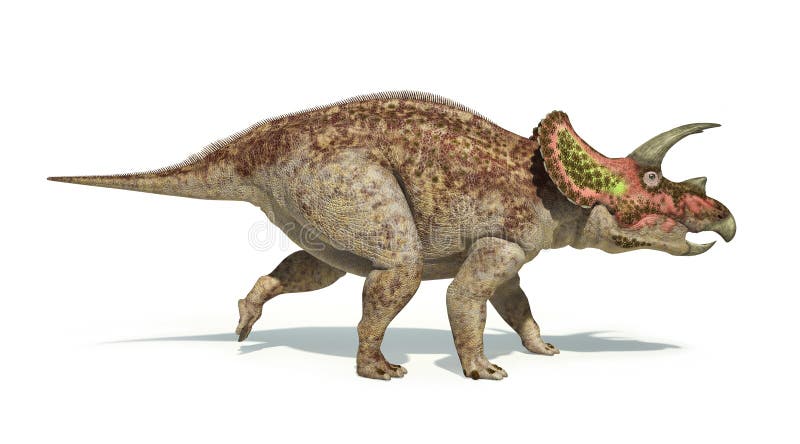 Photorealistic en wetenschappelijk correct r van de Triceratopsdinosaurus vector illustratie Photorealistic en wetenschappelijk correct r van de Triceratopsdinosaurus vector illustratie