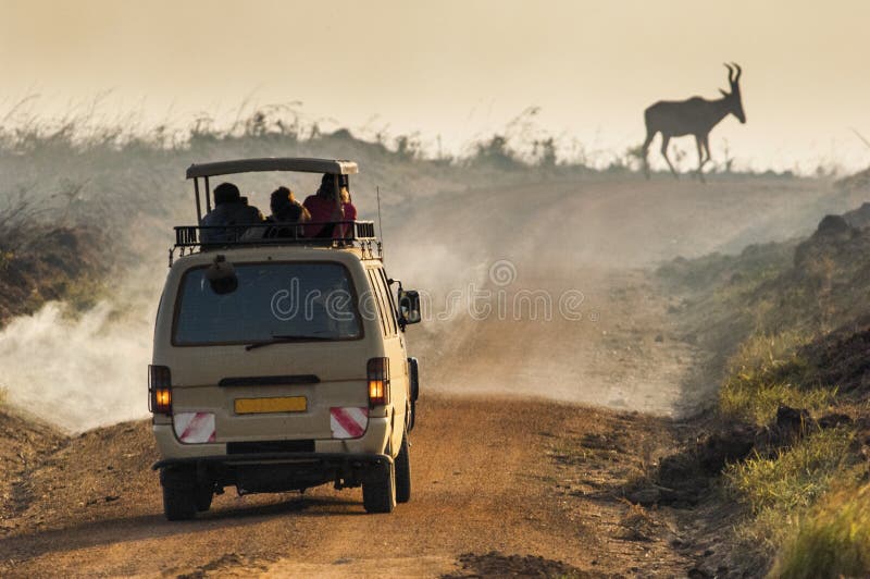 Photosafari. The antelope Kudu passes road to a smoke from a big fire stock photo Photosafari. The antelope Kudu passes road to a smoke from a big fire stock photo