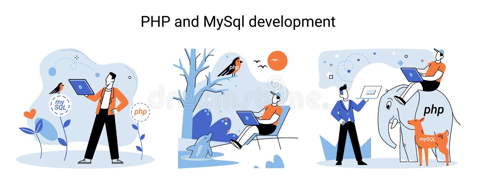 PHP and MySql Development. Software Website Developer, Programmer ...