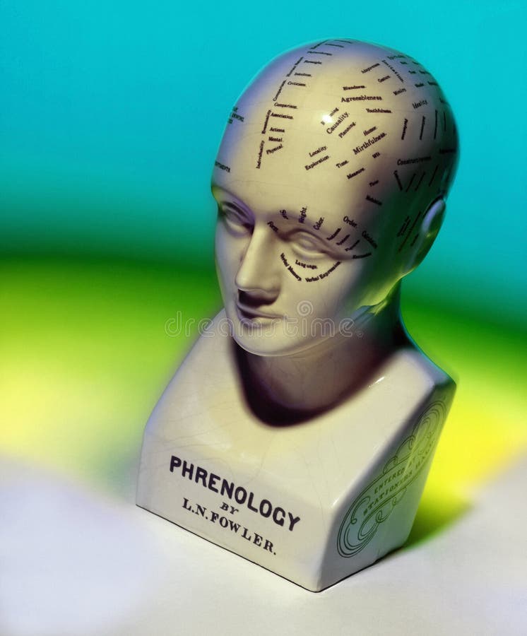 Phrenology Head - Medicine