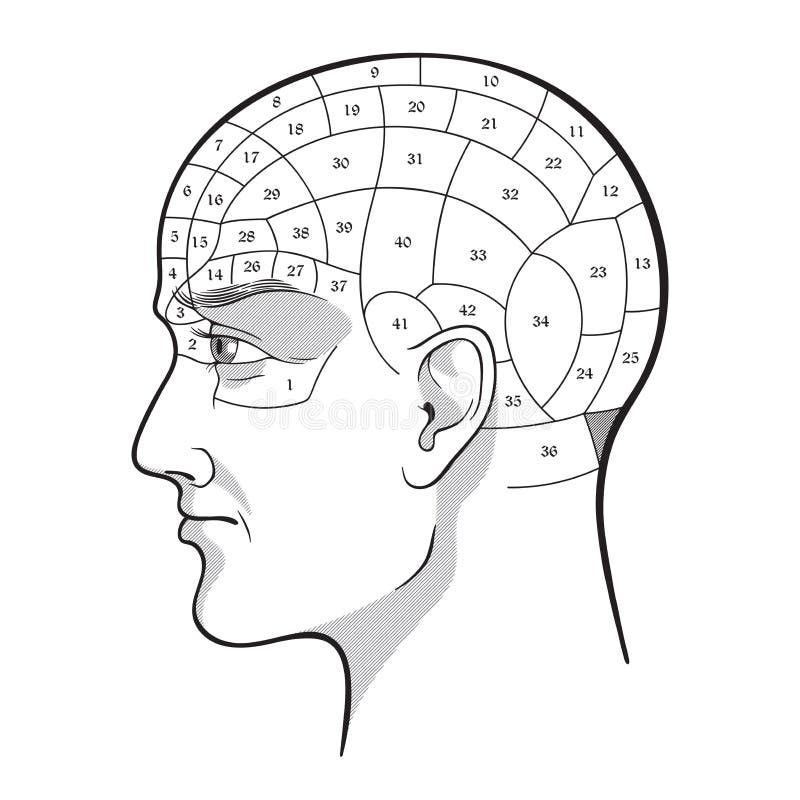 Phrenology Chart Poster