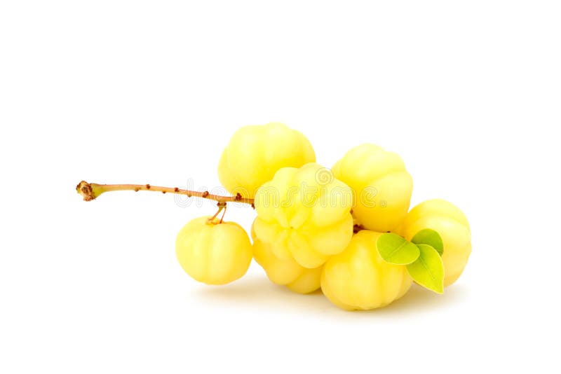 Phyllanthus acidus or star gooseberry royalty free stock images