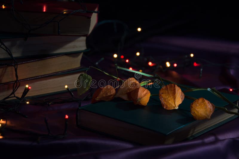 Physalis Branch on the Book and Christmas Lights Stock Photo Image of