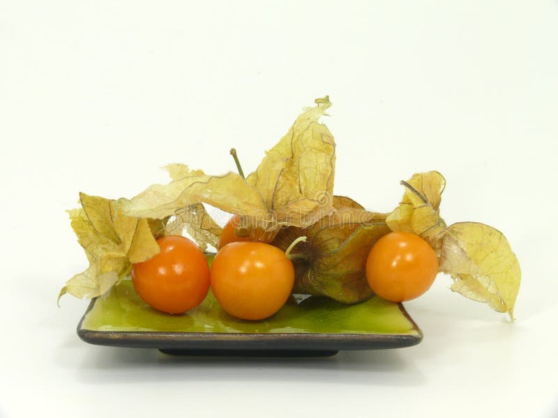 Physalis stock photography