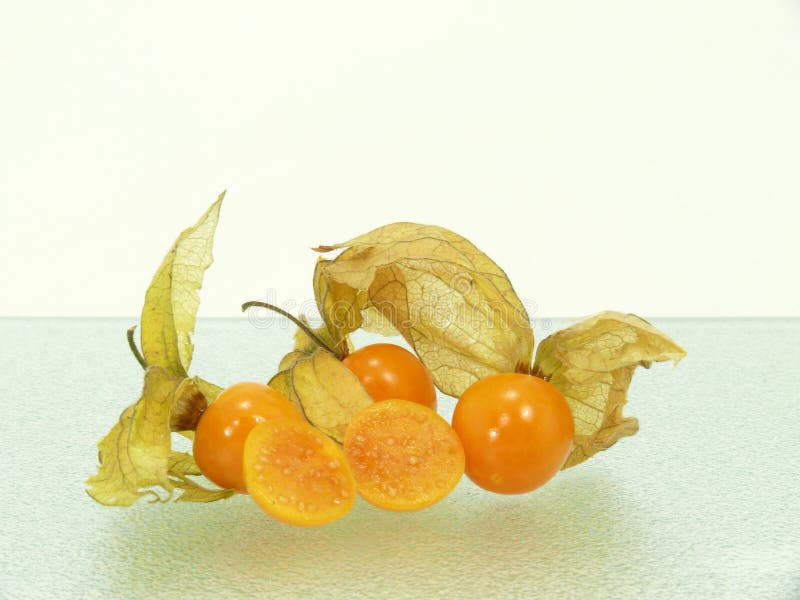 Physalis stock photo