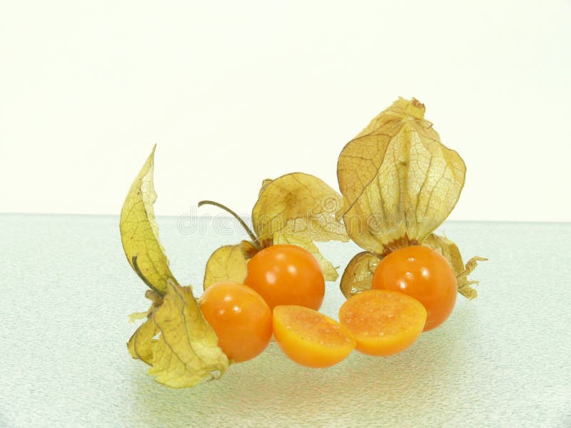 Physalis stock photo