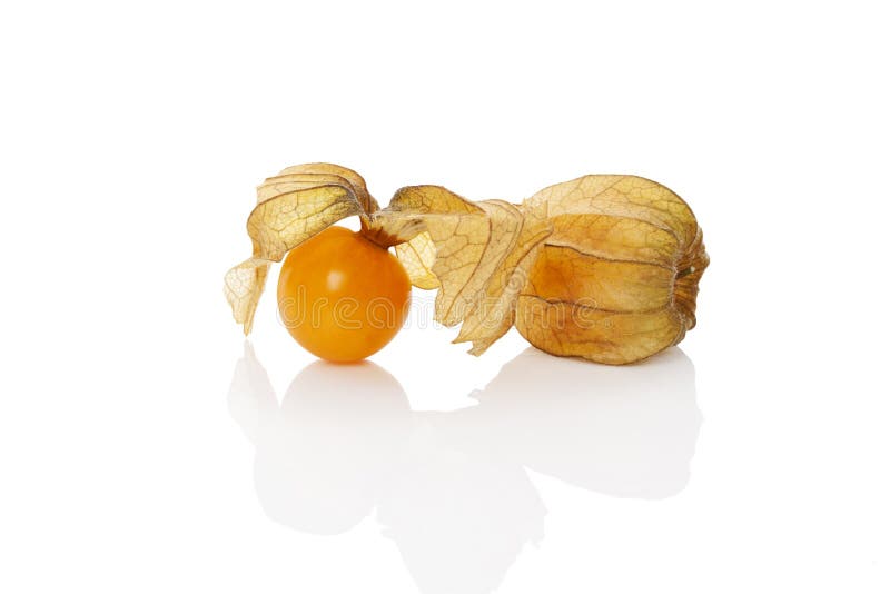 Physalis, ground cherry.