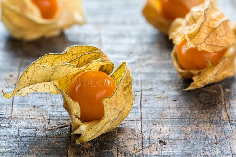 Physalis peruviana della frutta del Physalis con la buccia fotografie stock libere da diritti Physalis peruviana della frutta del Physalis con la buccia fotografie stock libere da diritti