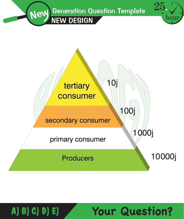 Physics, Vector Illustration of Food Chain Biology Diagrams