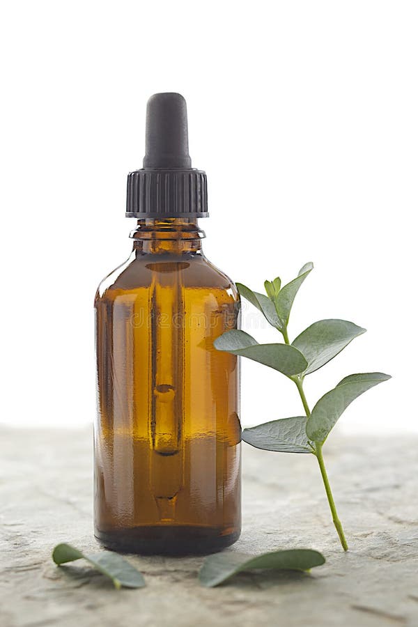 Rosemary Herb & Oil Bottle Stock Image Image of shrub, recipies 136775