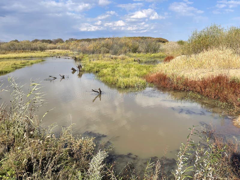 Flooded floodplain of Lake Khanka in autumn. Russia, Primorsky Krai. Flooded floodplain of Lake Khanka in autumn. Russia, Primorsky Krai.