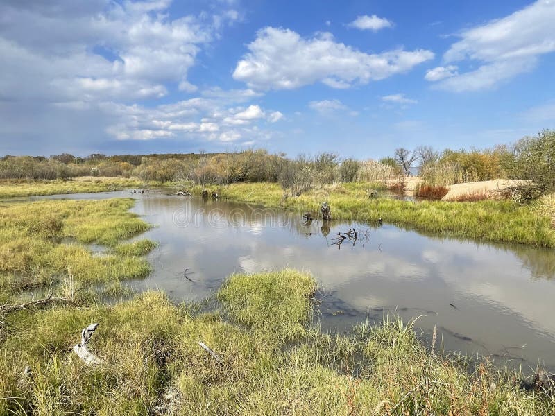 Flooded floodplain of Lake Khanka in autumn. Russia, Primorsky Krai. Flooded floodplain of Lake Khanka in autumn. Russia, Primorsky Krai.