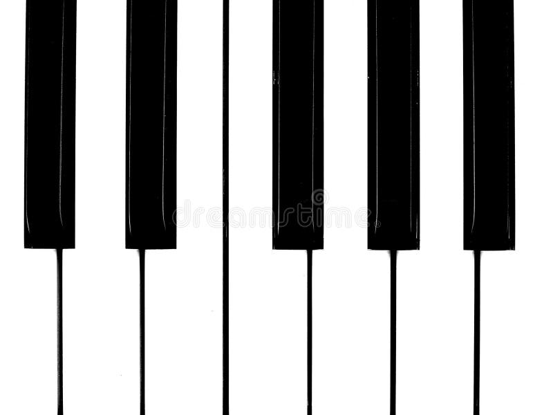 Piano Keys, Lower & Upper Octaves with Notes Named Stock Image Image of instructive, clef