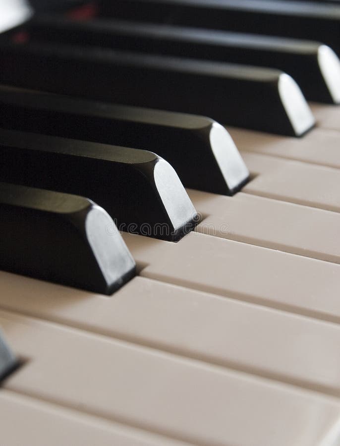 Piano Keys Trail royalty free stock photo