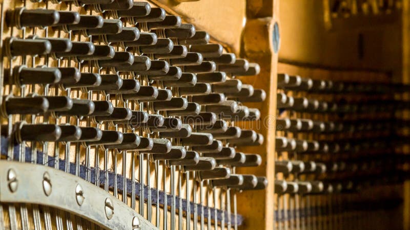 Piano tuning sockets