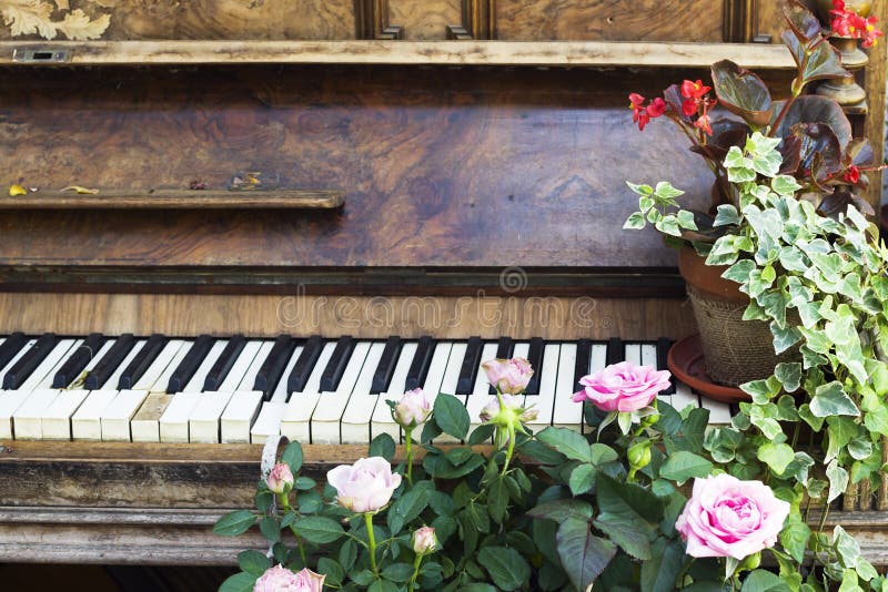 Piano Viejo Con Las Rosas Y La Maceta Imagen de archivo - Imagen de madera,  sonido: 60536971