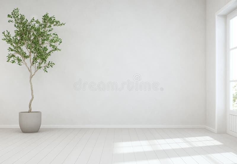 Pianta d'appartamento sul pavimento di legno con il fondo bianco vuoto del muro di cemento, albero vicino alla porta in salone lu royalty illustrazione gratis Pianta d'appartamento sul pavimento di legno con il fondo bianco vuoto del muro di cemento, albero vicino alla porta in salone lu royalty illustrazione gratis