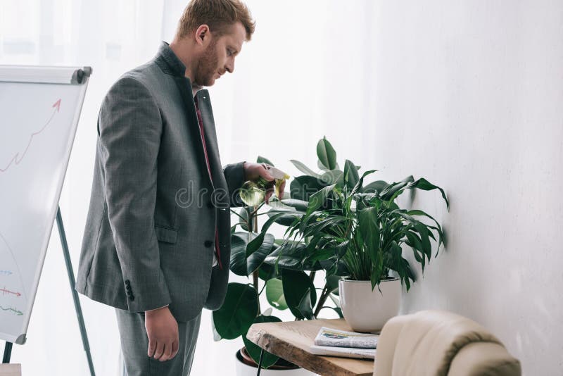 pianta di innaffiatura disordinata stanca dell'uomo d'affari fotografia stock pianta di innaffiatura disordinata stanca dell'uomo d'affari fotografia stock