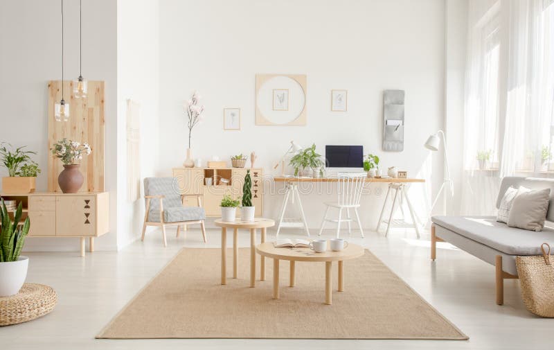 Pianta sul pouf vicino alle tavole di legno su tappeto marrone in whi spazioso fotografia stock