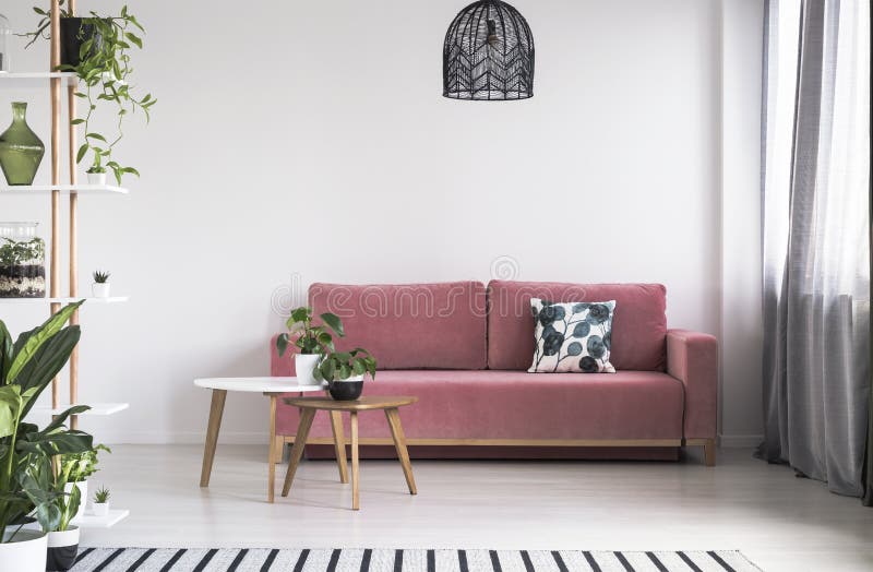 Pianta sulla tavola davanti allo strato rosso nell'interno luminoso del salone con la lampada Foto reale immagine stock libera da diritti Pianta sulla tavola davanti allo strato rosso nell'interno luminoso del salone con la lampada Foto reale immagine stock libera da diritti