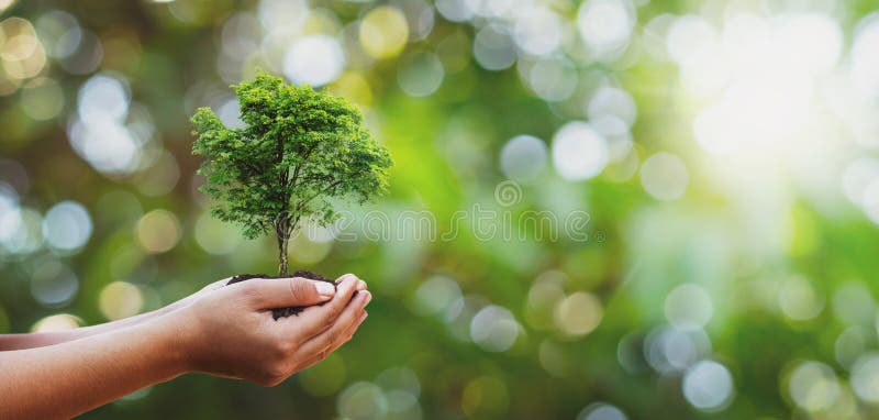 Piantagione di alberi su famiglia di volontari e x27;s hand for eco friendly and corporate social Responsibility Campaign