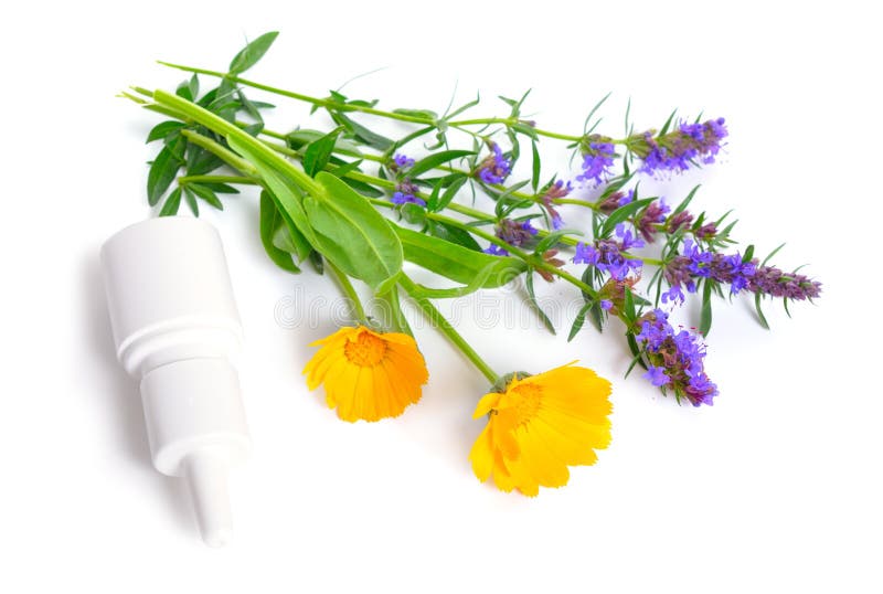 Piante medicinali calendula e issopo con lo spruzzo di naso Isolato su bianco immagini stock libere da diritti Piante medicinali calendula e issopo con lo spruzzo di naso Isolato su bianco immagini stock libere da diritti
