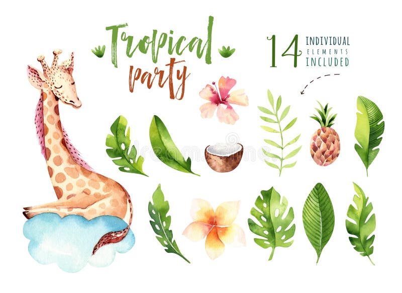 Piante tropicali dell'acquerello disegnato a mano messe e giraffa Foglie di palma esotiche, albero della giungla, elementi tropic
