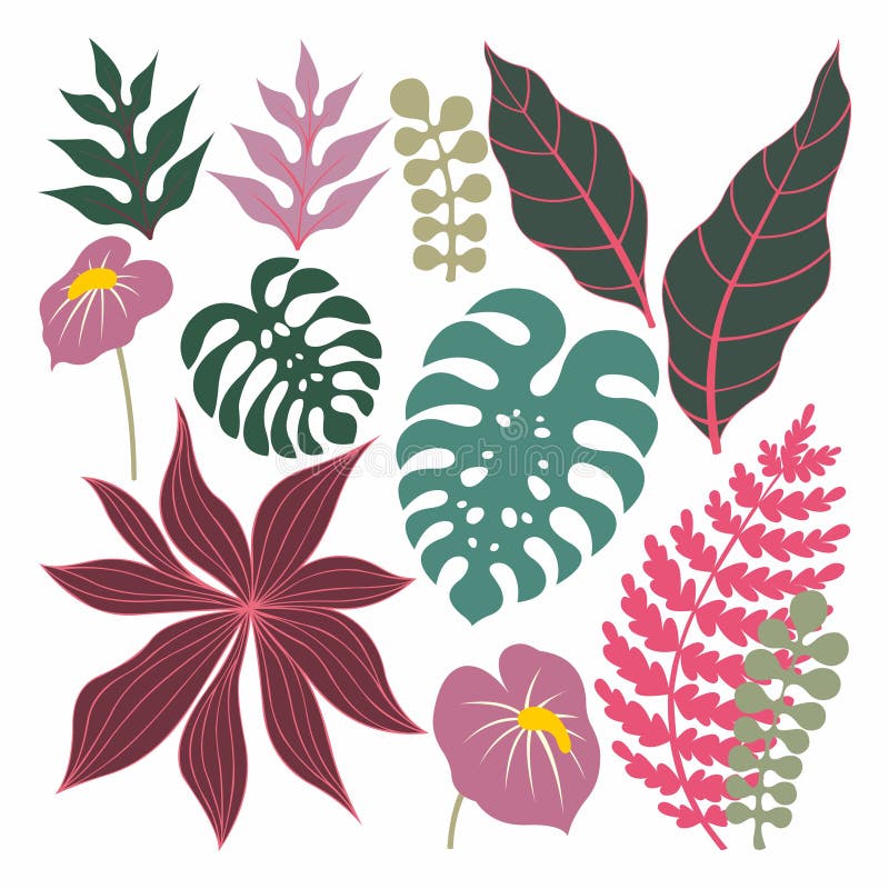Piante tropicali e foglie Insieme di vettore illustrazione vettoriale Piante tropicali e foglie Insieme di vettore illustrazione vettoriale