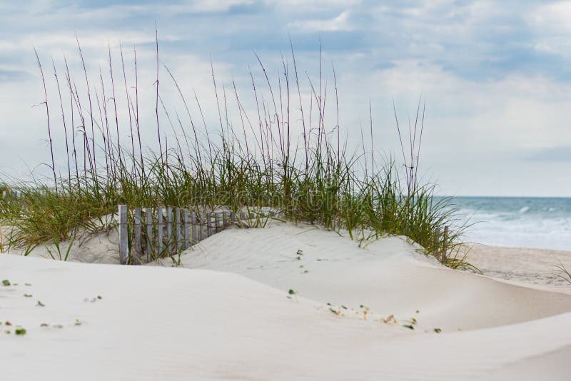 Piasek diuny i Beachgrass fotografia royalty free Piasek diuny i Beachgrass fotografia royalty free