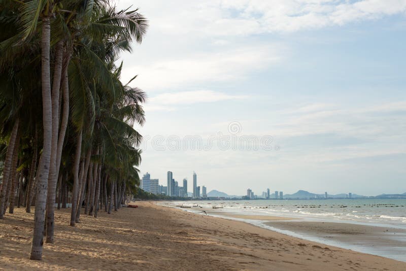 Piaskowa linia brzegowa długiej plaży z palmami Miasto tropikalne obrazy royalty free Piaskowa linia brzegowa długiej plaży z palmami Miasto tropikalne obrazy royalty free