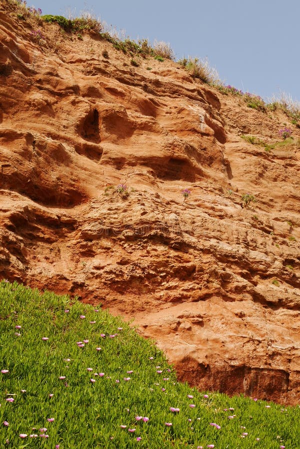 Piaskowcowa faleza przy Budleigh Salterton zdjęcia stock Piaskowcowa faleza przy Budleigh Salterton zdjęcia stock